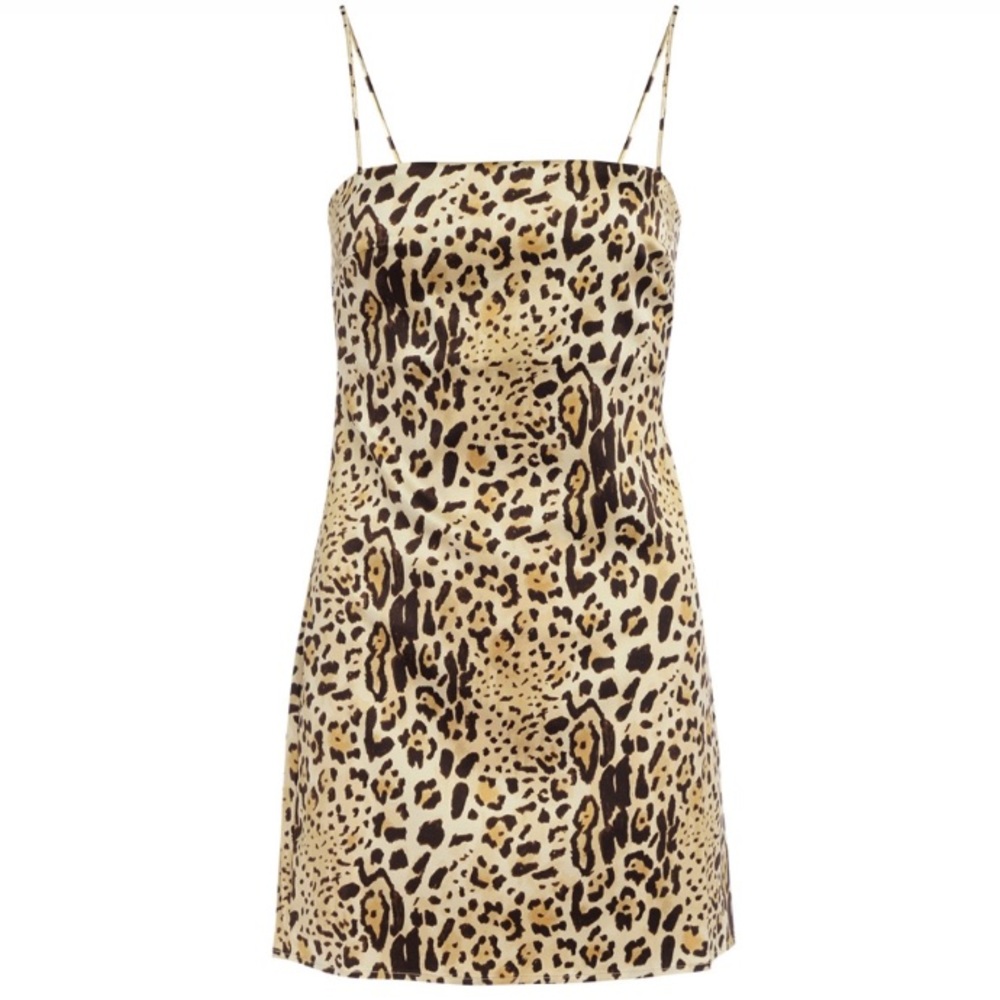 Anine Bing Leopard Print Mini Dress